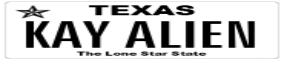Truck License Plate